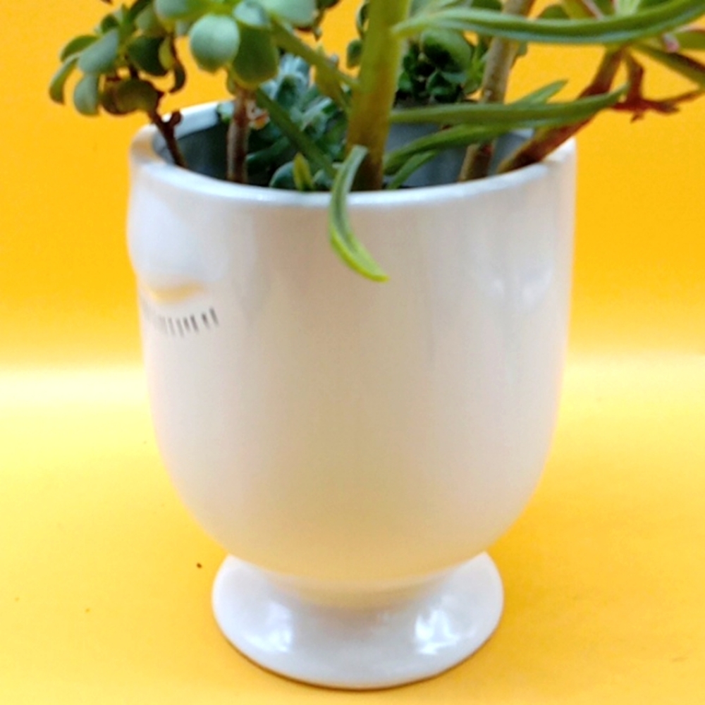 Ceramic Face Planter - Picture 3 of 8